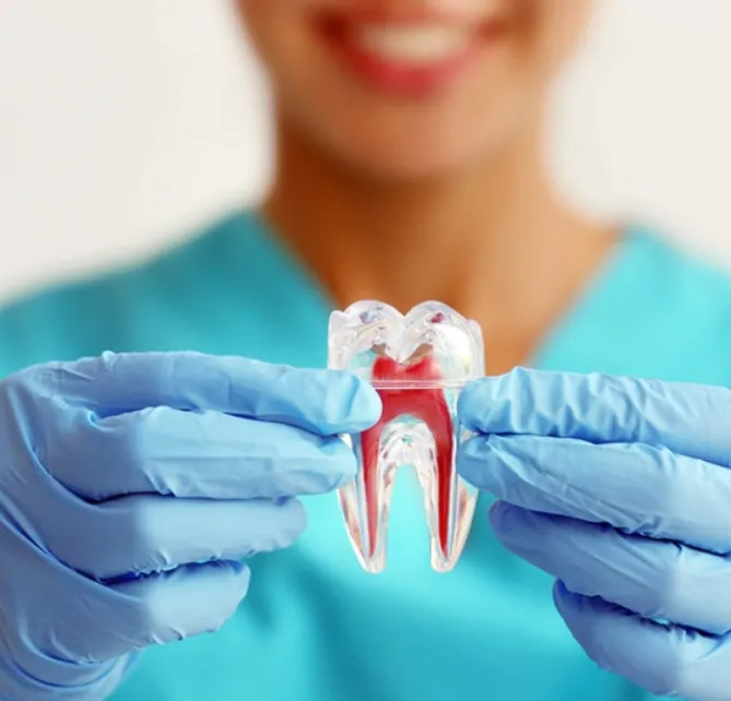 Endodontia (Canal) na Real Odonto